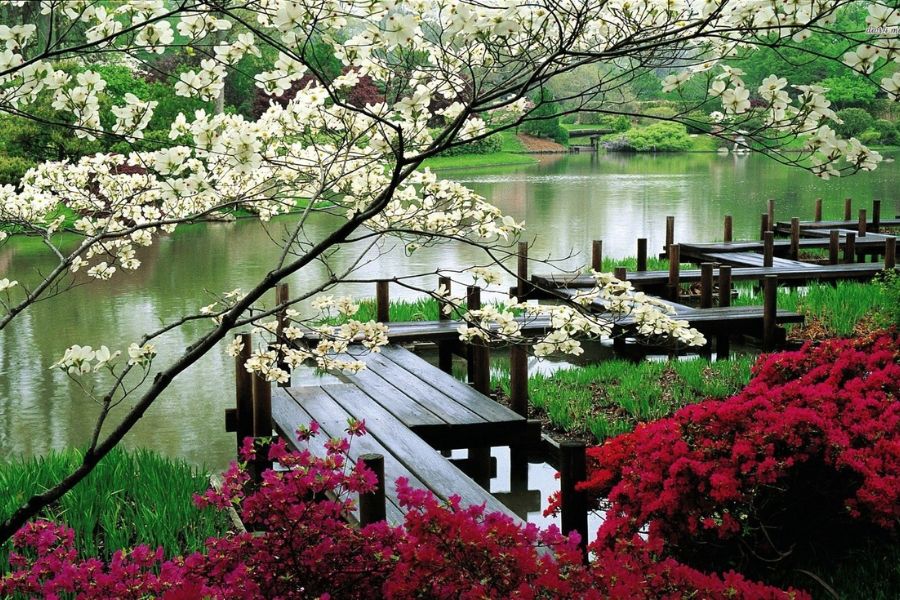 Cầu gỗ sân vườn kiểu dáng đơn giản