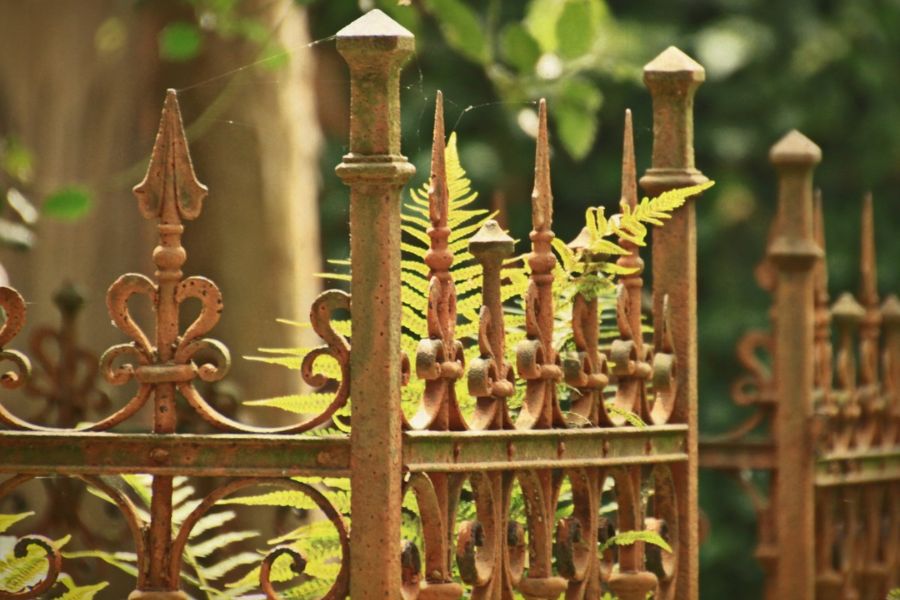 Cổng sắt bị rỉ sét