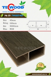  Thanh lam gỗ nhựa ASA TecWood TW100T40F màu M08